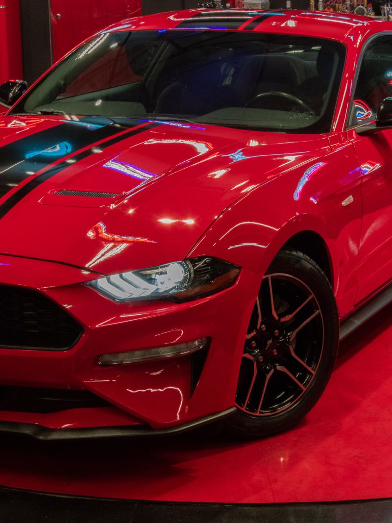 Φωτογραφία από 