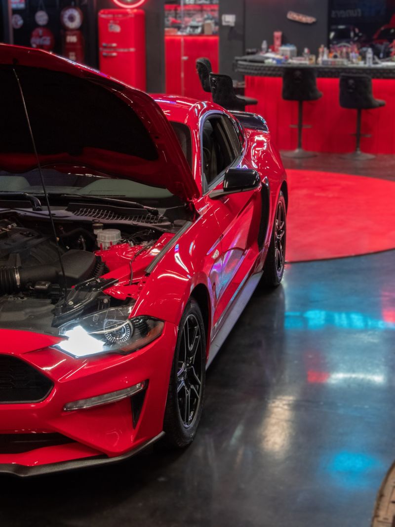 Φωτογραφία από 