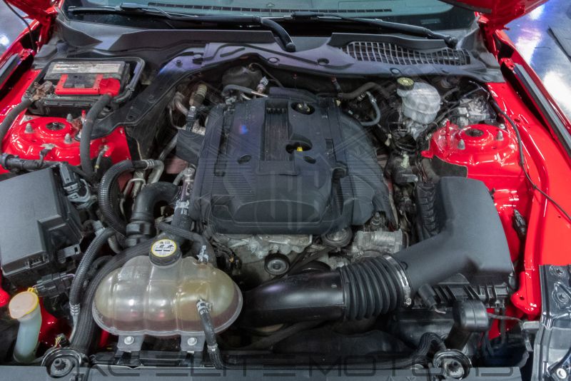 Φωτογραφία από 